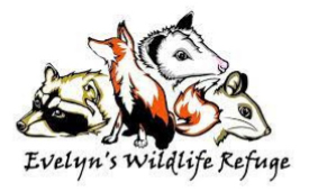 Evelyn's Wildlife Refuge logo