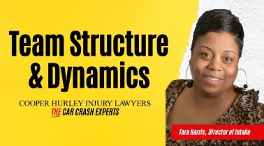Team structure and dynamics flyer